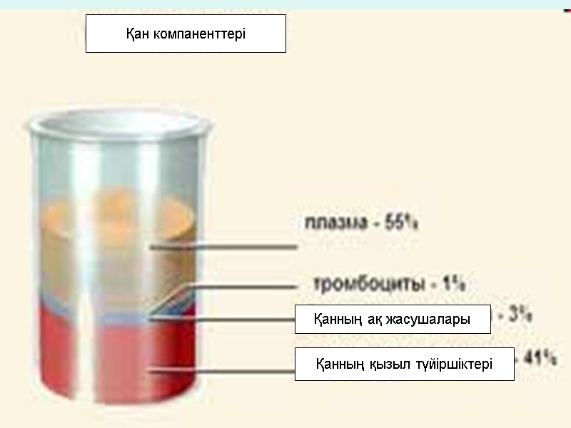 Қан компаненттері Қанның ақ жасушалары Қанның қызыл түйіршіктері